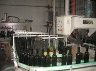 Container glass production line/plant